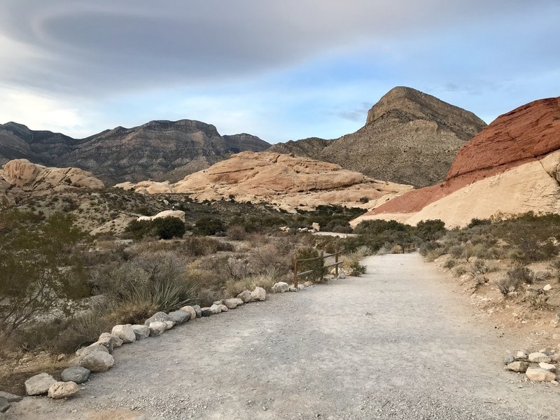 Start of the Turtlepeak Mountain trail from parking lot.