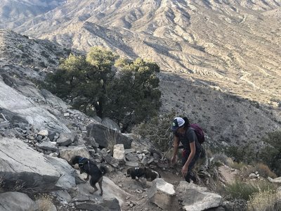 Dogs on leash welcome.