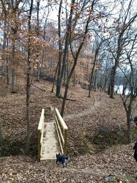 Creek crossing along the trail