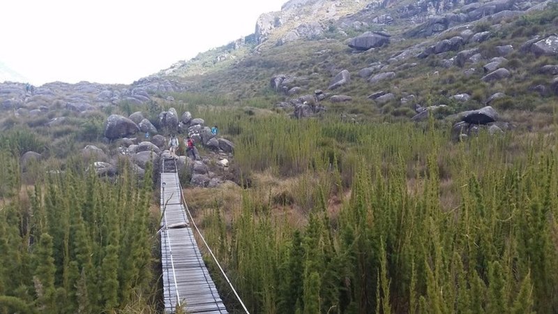 Bridge at the beginning of the trail