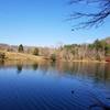 Lakeside trail beside Lake