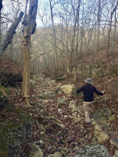 Bryant Creek during the winter.  Almost no water!