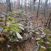 Section of rocky trail - Four Birds Trail