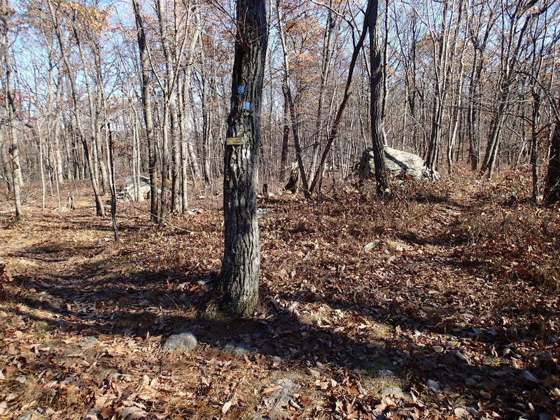 Trail junction with Splitrock trail