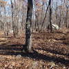 Trail junction with Splitrock trail