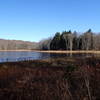 View of Misty Pond