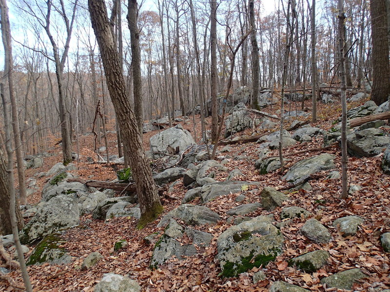 Rocky section of Split Rock Trail