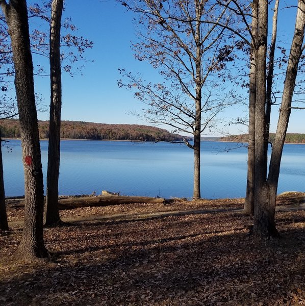 A view of Jordan Lake from Poe's Ridge Trail.