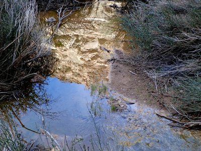 Open water at the base of the main falls