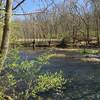 Looking towards the footbridge across the Little Miami in springtime