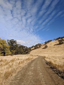 two thirds of the trail looks like this