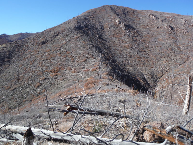 Saddle in the foreground is the intersection of the Rendija Ridge trail with the Mitchell Trail #69 looking west.