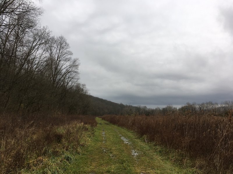 Margin of the doubletrack looking over the meadow and towards the hills bounding Elk Creek