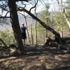 A nice view from Rock Knob