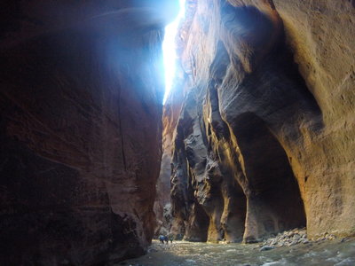 The Narrows - Zion National Park