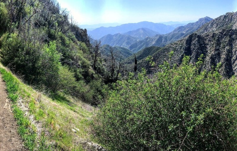 view toward the Angeles Crest Highway.