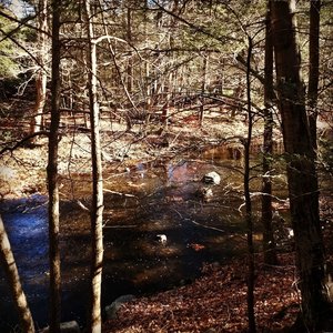 A great view of the Mianus River.