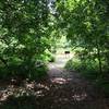 Leading to the Butterfly Gardens