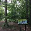 The other entrance to the trail located at the back center of Joe Prance Pocket Park along the tree line. This entrance is closest to the butterfly gardens.