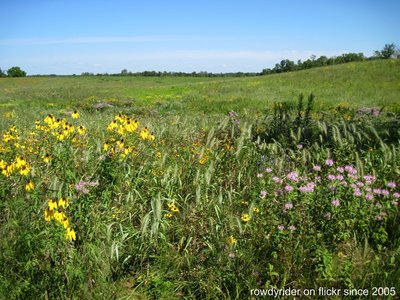 Prairie at Crow-Hassan