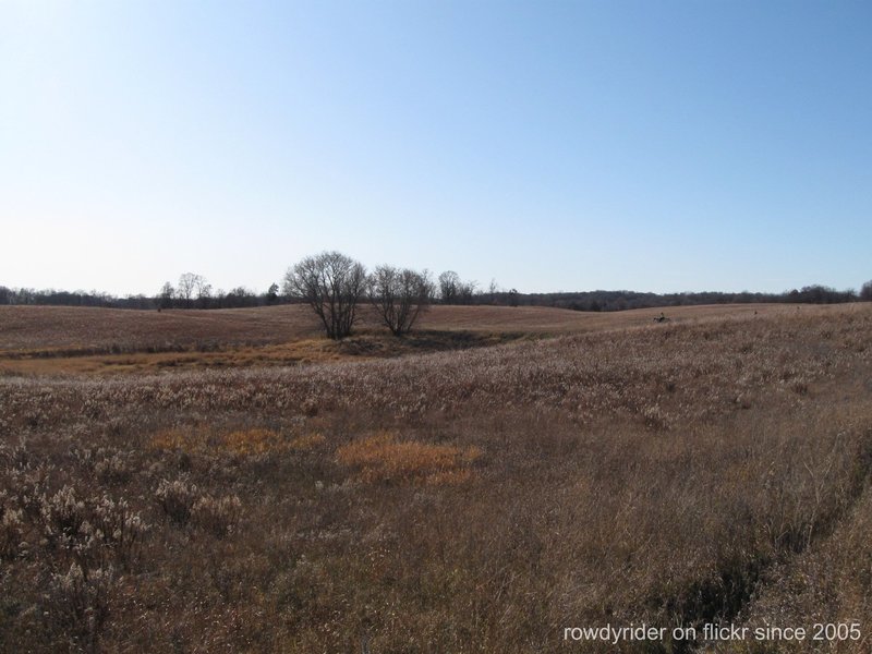 Prairie at Crow Hassan