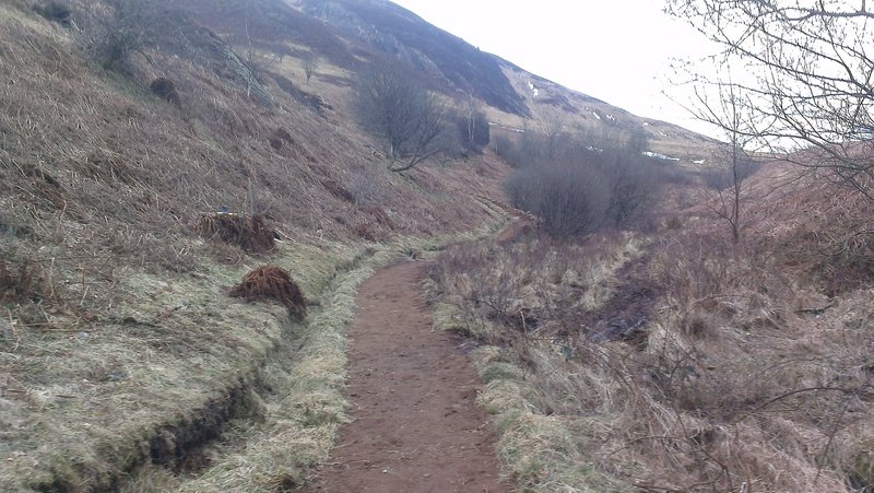 Conic Hill Trail