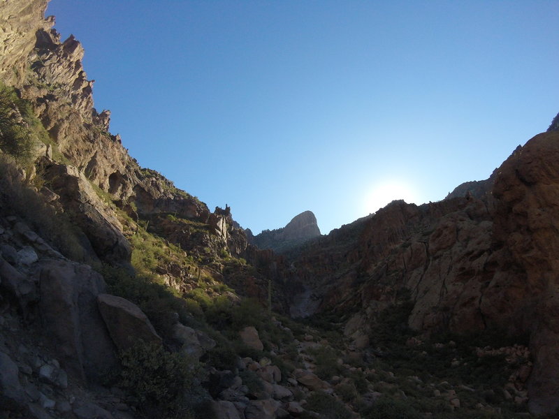 Flat Iron - Siphon Draw Trail - Lost Dutchman State Park