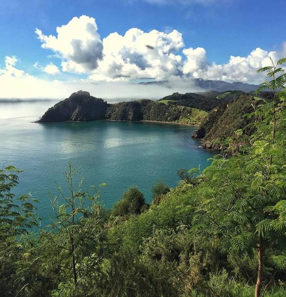 New Zealand coastline