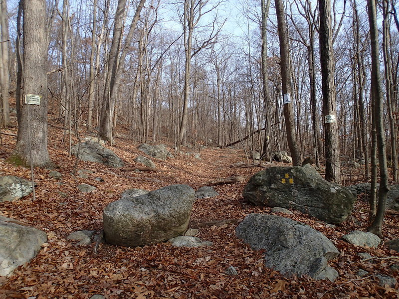 Trailhead for Bearfort Waters Clinton Trail