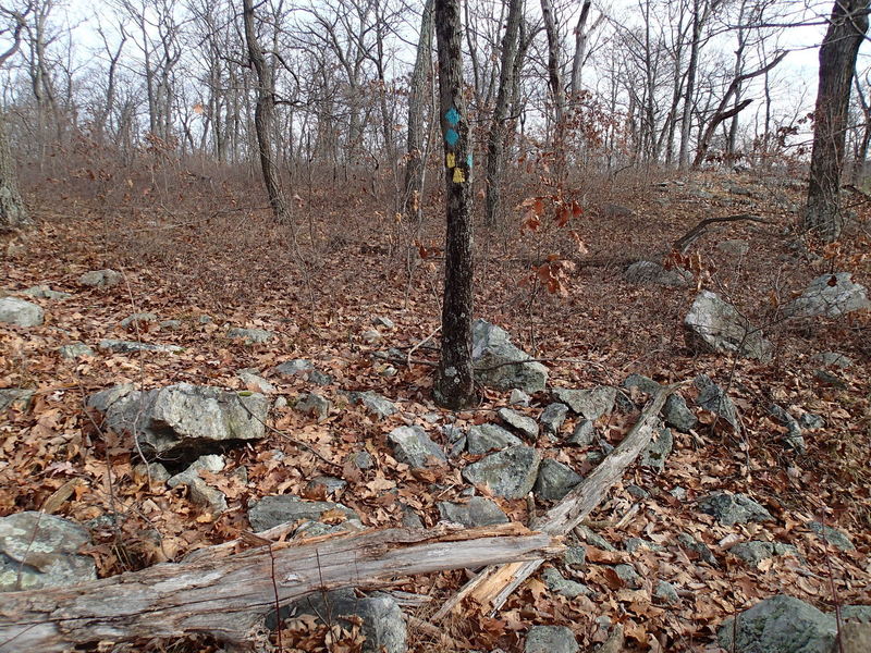 Bearfort Waters Clinton Trail junction with Highlands Trail