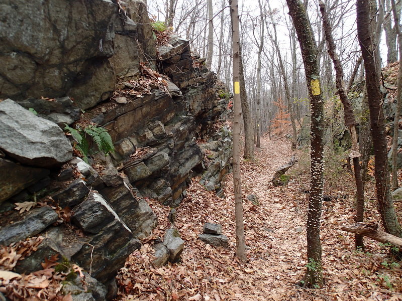 Wildcat Ridge Trail follows old rail bed