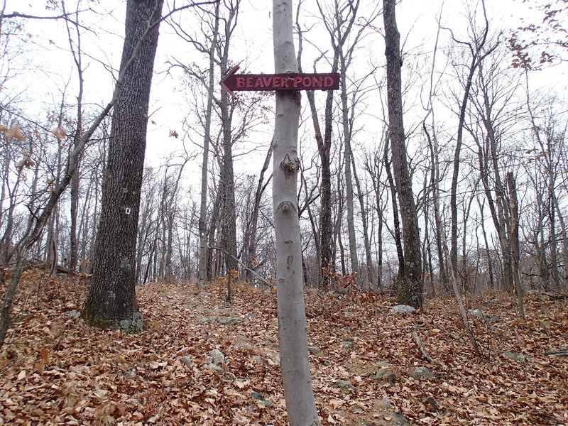 Watch for sign to turn off Four Birds Trail