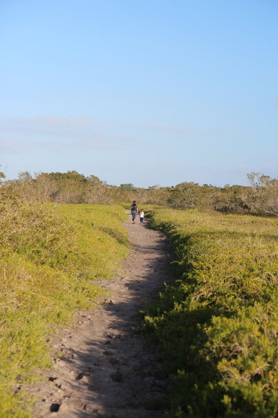 Hiking back