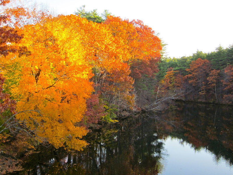 Along the Nashua River at Lincoln Park