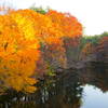 Along the Nashua River at Lincoln Park