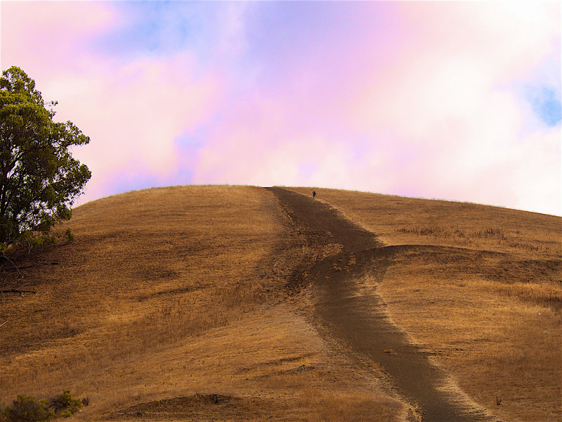 Steep going on the grassy slopes.