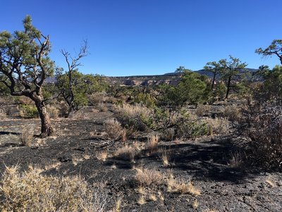 View over the Malpais.