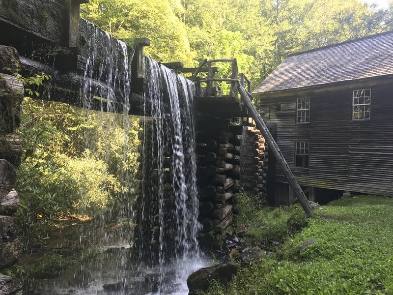 Mingus Mill