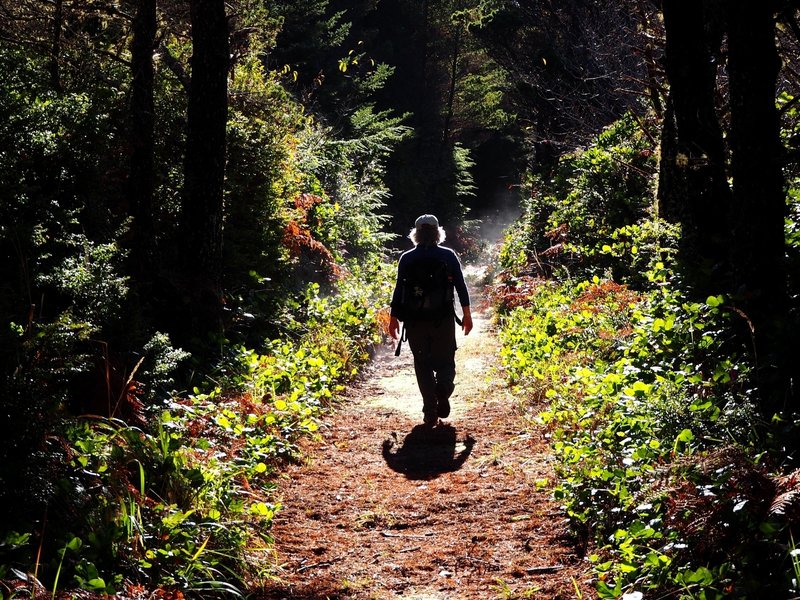 Going south on the Blacklock Point Connector Trail