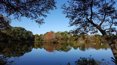 Fall scenery at West Pond
