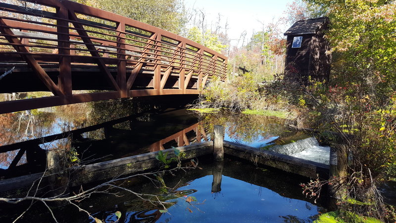 Connetquot River State Park