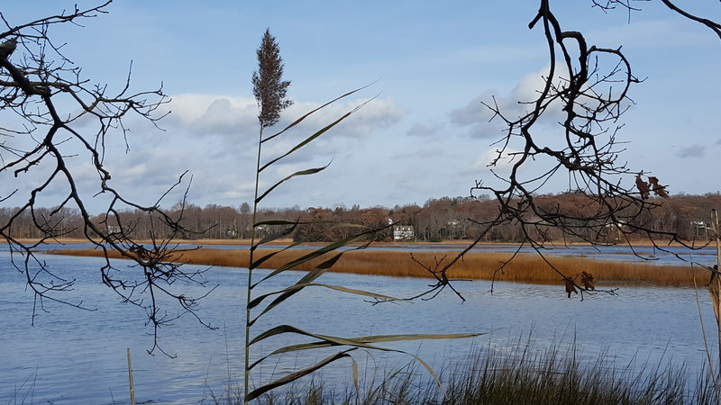 Gorgeous views hiking along side the Nissequogue River!