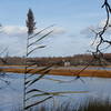 Gorgeous views hiking along side the Nissequogue River!