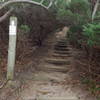 Nissequogue River State Park