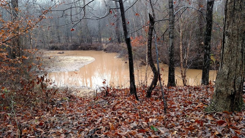 Creek from trail - towards end of section