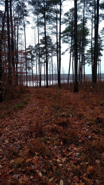 View of lake from trail