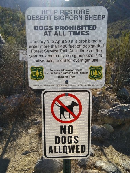 Dogs on a leash are fine on the Alamo Canyon/Bathtub Tank trail, as long as you don't go south at this branch trail.