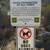 Dogs on a leash are fine on the Alamo Canyon/Bathtub Tank trail, as long as you don't go south at this branch trail.