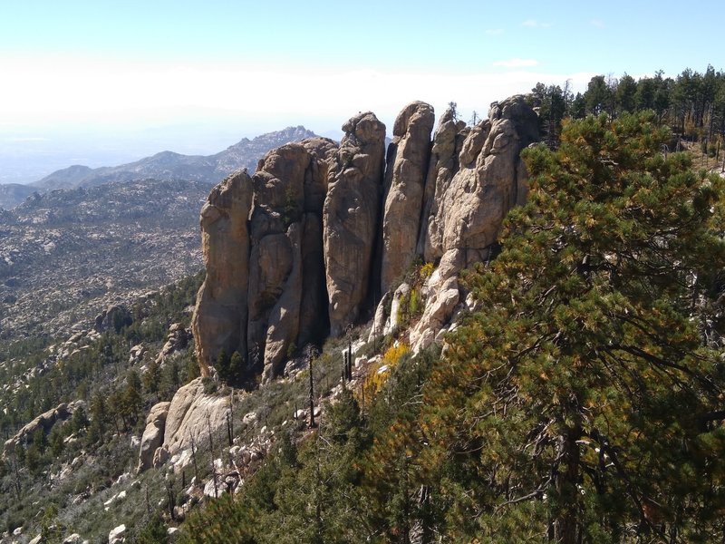 The Ravens from Mt Lemmon Trail #5