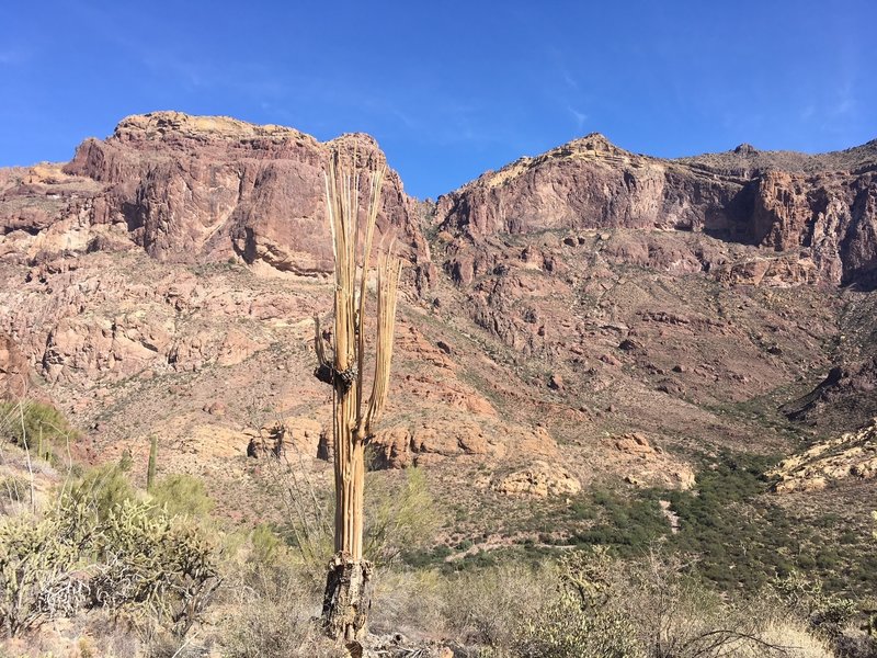 Ajo Mountain Range